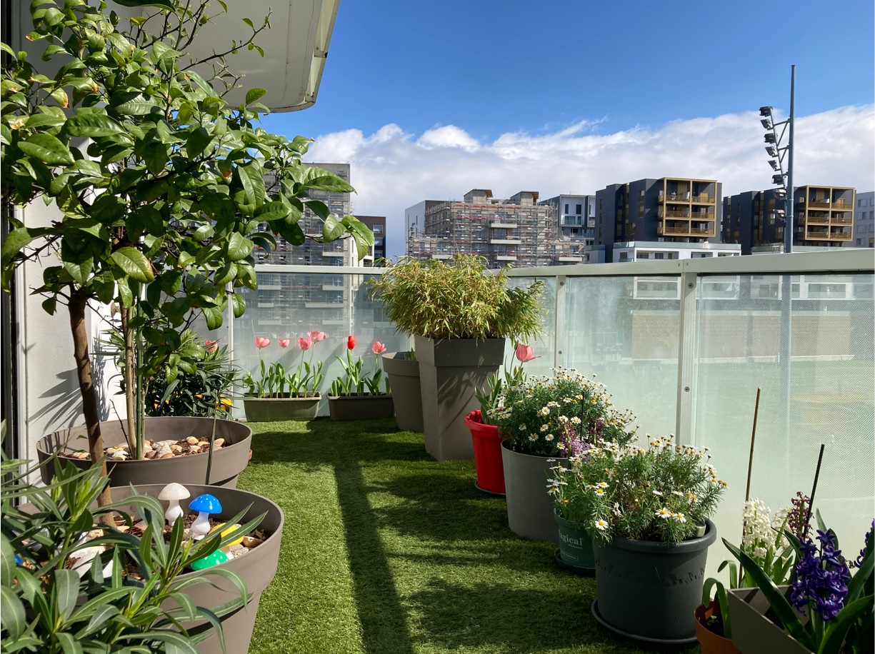 appartement-balcon-Paris-16e